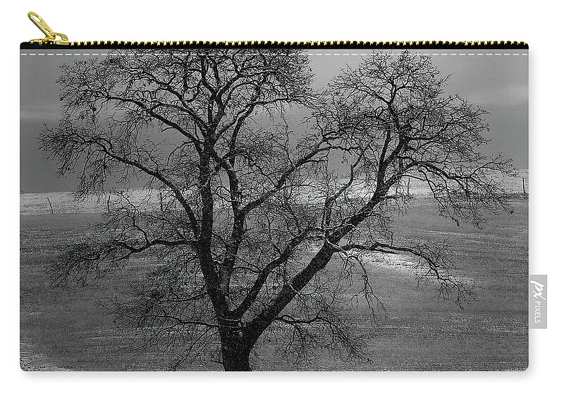  Zip Pouch featuring the photograph Lone Oak in Winter Corn Field - Tompkins Center, Michigan USA - by Edward Shotwell
