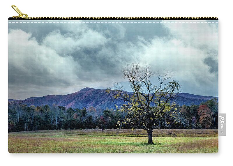Smokies Zip Pouch featuring the photograph Lone Tree at Cades Cove Townsend Tennessee by Debra and Dave Vanderlaan