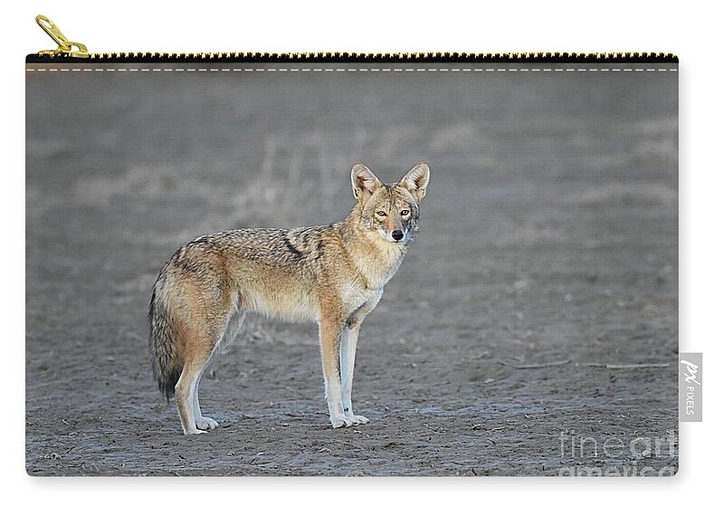 Coyote Zip Pouch featuring the digital art Loner by Tammy Keyes
