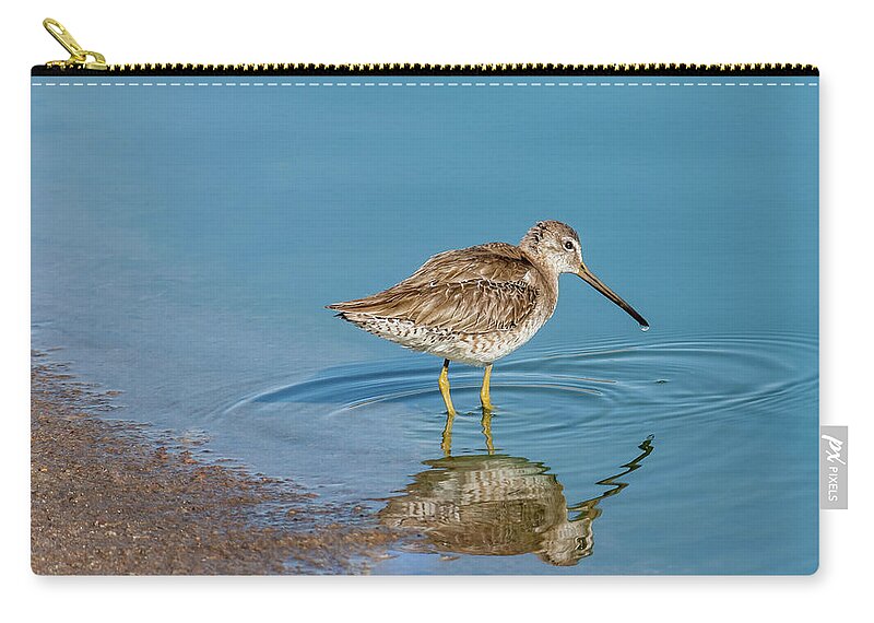 Animal Zip Pouch featuring the photograph Long-Billed Dowitcher Probing in the Mud by Jeff Goulden