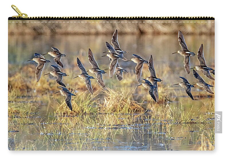 Long-billed Dowitchers Zip Pouch featuring the photograph Long-billed Dowitchers 8220-010322-2 by Tam Ryan
