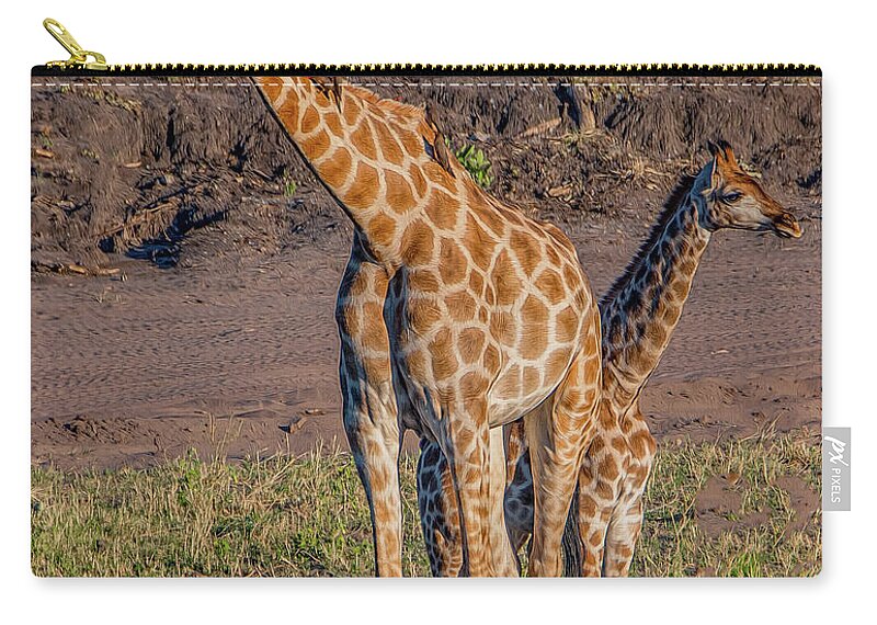 Giraffes Zip Pouch featuring the photograph Long Necks and Long Legs in Botswana by Marcy Wielfaert