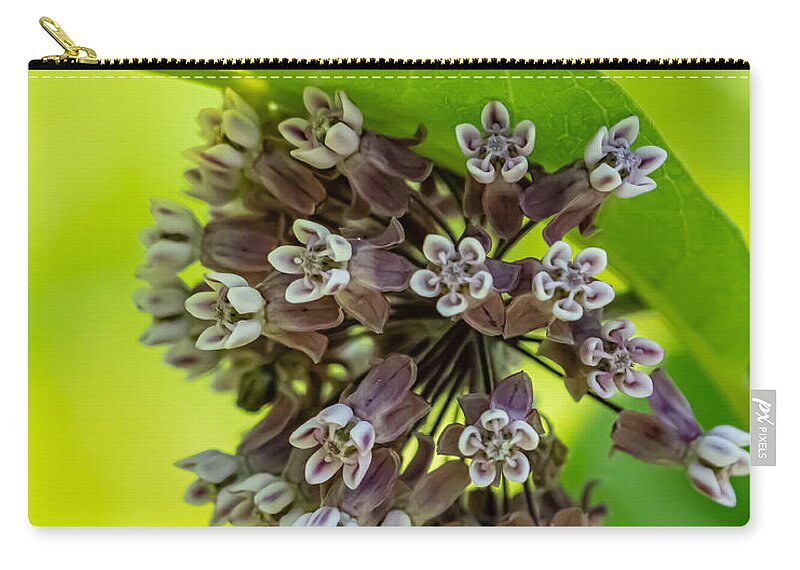 Plant Zip Pouch featuring the photograph Looking for Milkweed by Linda Bonaccorsi