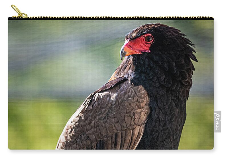 Bird Zip Pouch featuring the photograph Looking Over My Shoulder by David Levin