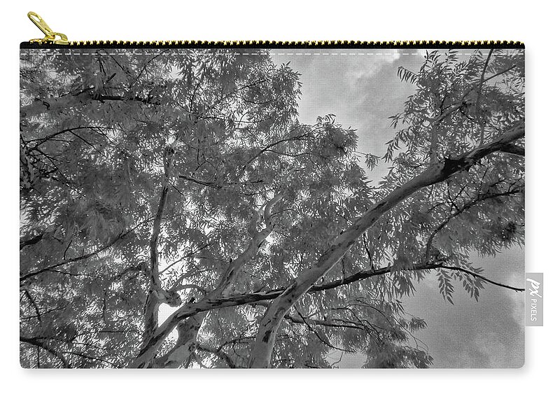 Tree Zip Pouch featuring the photograph Looking Up in Black and White Infrared by Alan Goldberg