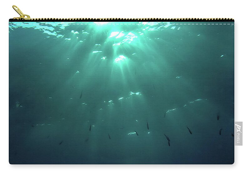 Salvador Dali Zip Pouch featuring the photograph Looking Up by Meir Ezrachi