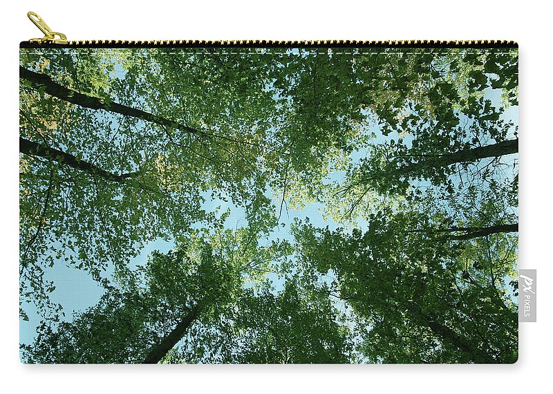 Trees Zip Pouch featuring the photograph Looking Up by Terri Harper