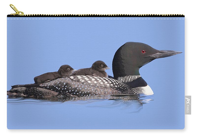 Nature Zip Pouch featuring the mixed media Loons by Judy Cuddehe