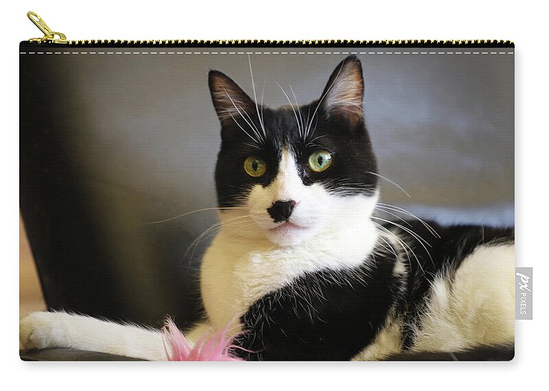 Cat Zip Pouch featuring the photograph Lord of the Manor by Bonnie Follett