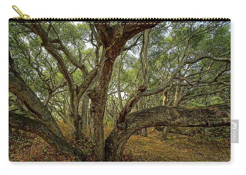 Los Osos Zip Pouch featuring the photograph Los Osos Oak Forest by Brett Harvey