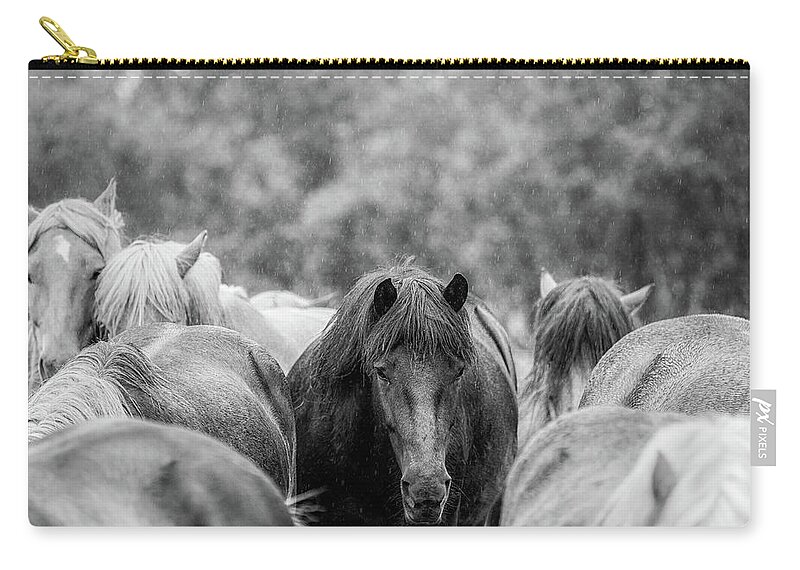 Photographs Zip Pouch featuring the photograph Lost in a crowd II - Horse Art by Lisa Saint