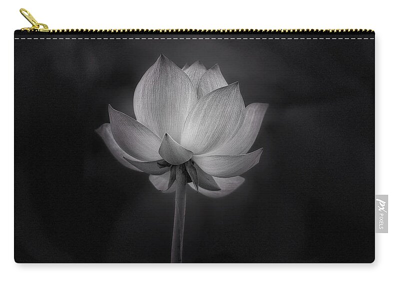 Lotus Flower Zip Pouch featuring the photograph Lotus flower in black and white by Alessandra RC