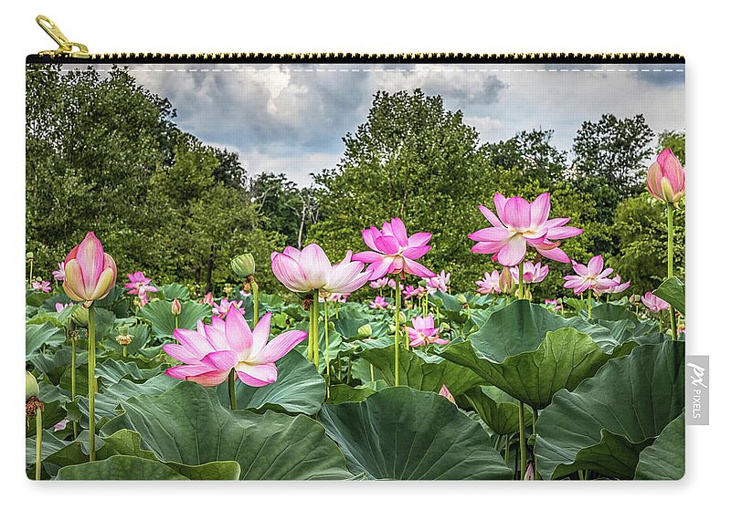 Lotus Flowers Zip Pouch featuring the photograph Lotus Pond by Elvira Peretsman
