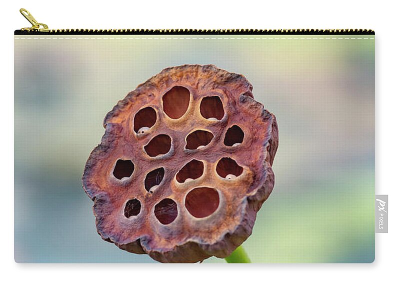 Lotus Zip Pouch featuring the photograph Lotus Seed Pod by Cate Franklyn
