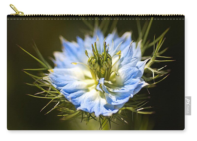 Nigella Zip Pouch featuring the photograph Love In The Mist Just Opened by Joy Watson
