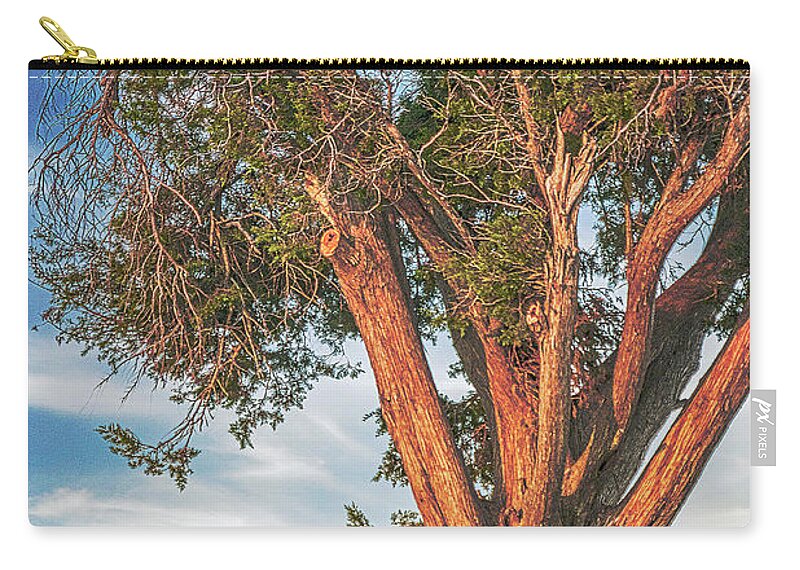 Cypress Tree Zip Pouch featuring the photograph Love Under the Cypress Tree by WAZgriffin Digital