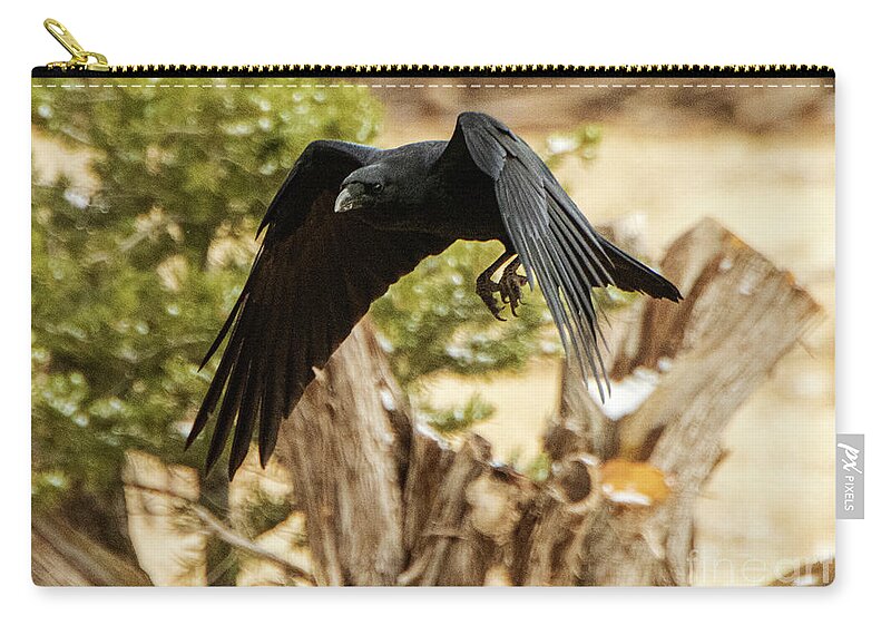 Natanson Zip Pouch featuring the photograph Low and Slow by Steven Natanson