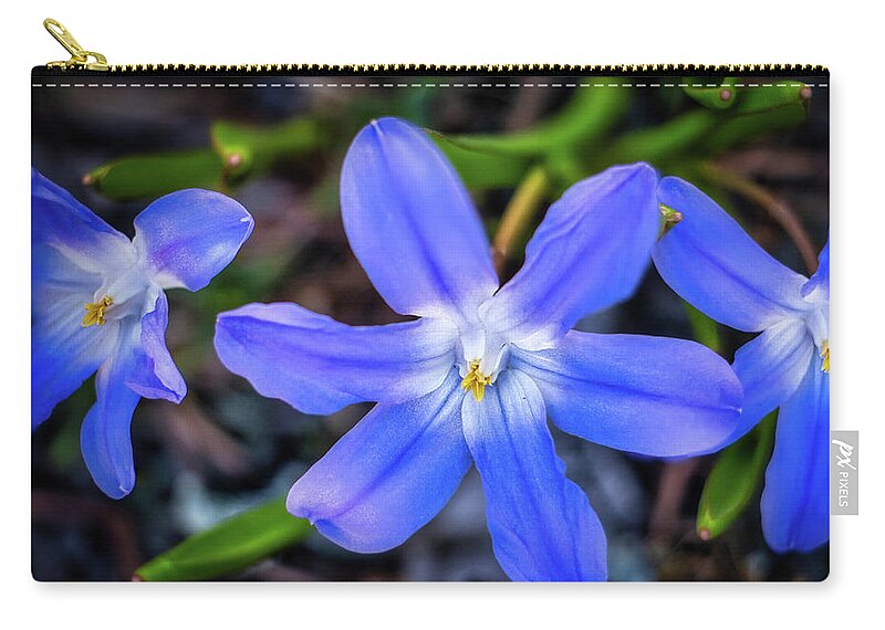 Flower Zip Pouch featuring the photograph Lungwort by Dan Eskelson