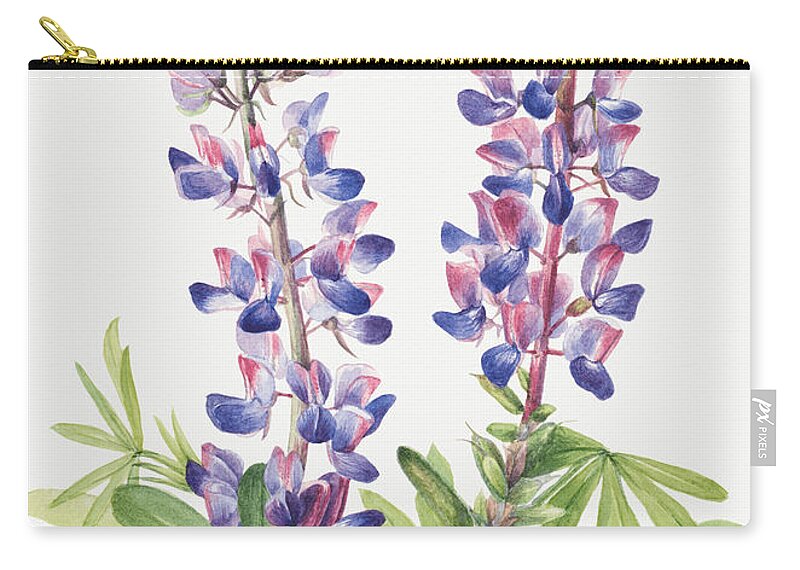 Lupine Zip Pouch featuring the painting Lupine, by Mary Vaux Walcott by World Art Collective