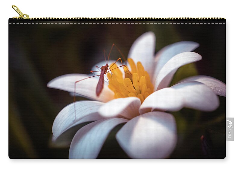 Spring Flowers Zip Pouch featuring the photograph Macro bug on spring flower by Lilia S