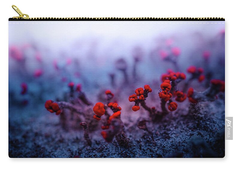 Macro Zip Pouch featuring the photograph Macro of Moss on Dunes by Lilia S