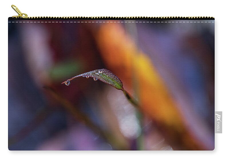 Fall Zip Pouch featuring the photograph Macro Photography - Fall Foliage by Amelia Pearn