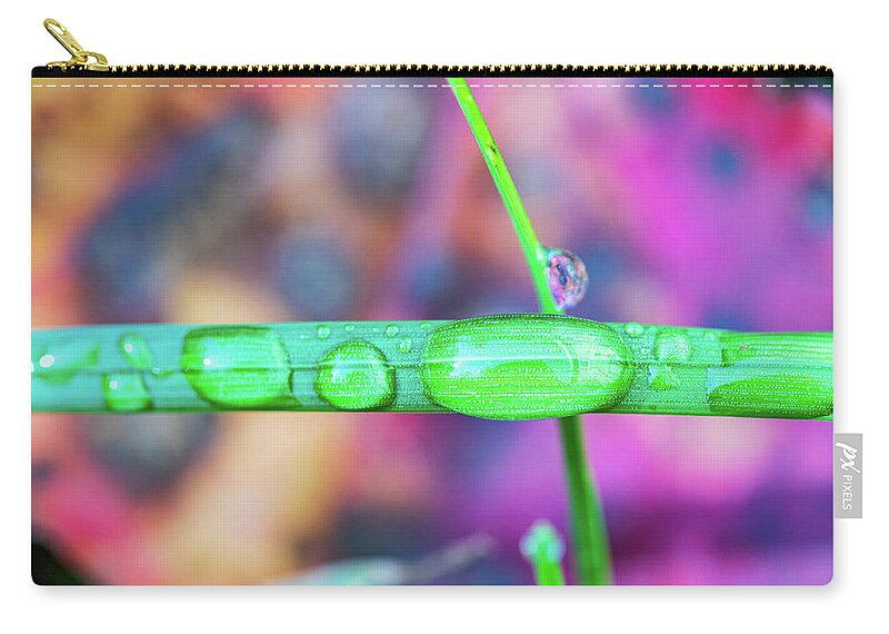 Grass Zip Pouch featuring the photograph Macro Photography - Water Drops on Grass by Amelia Pearn
