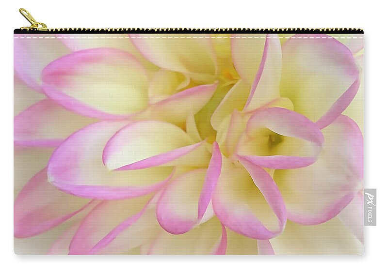 Floral Zip Pouch featuring the digital art Macro Soft Pink, Yellow And White Dahlia Bloom by Kirt Tisdale