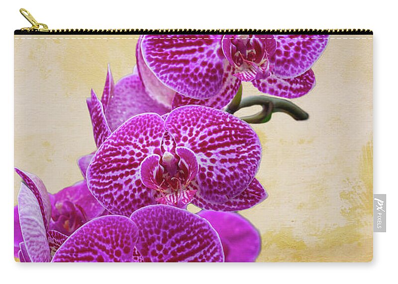 Magenta Zip Pouch featuring the photograph Magenta Moth Orchids by Cate Franklyn