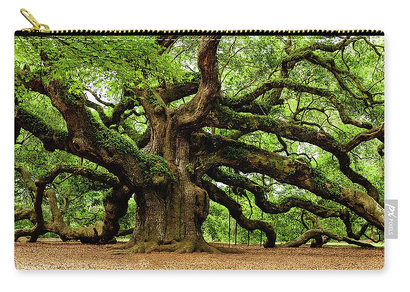 Charleston Zip Pouch featuring the photograph Mystical Angle Oak Tree larger image by Louis Dallara