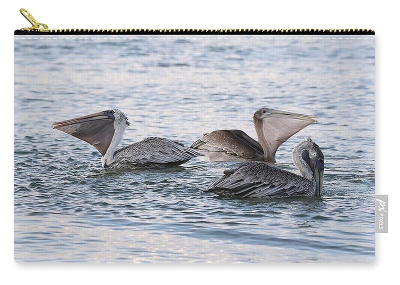 Pelicans Carry-all Pouch featuring the photograph Magnificent Throat Pouch 7 by Mingming Jiang