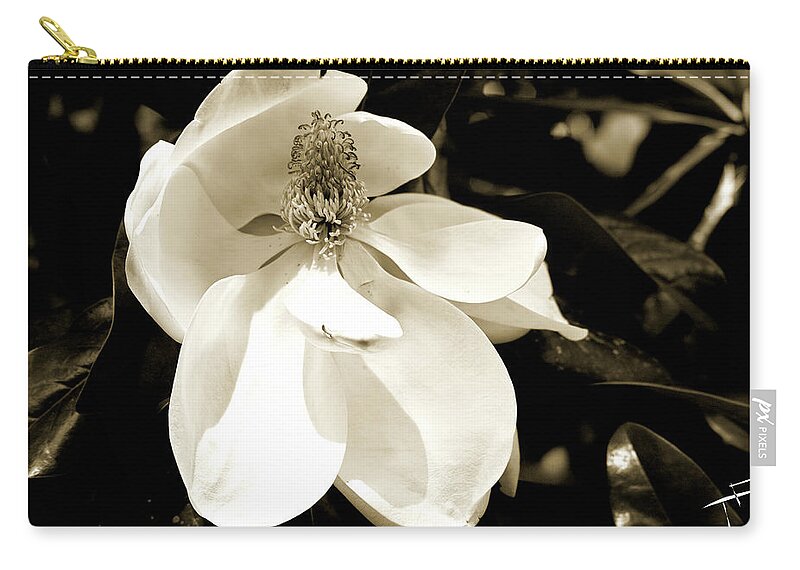 Savannah Zip Pouch featuring the photograph Magnolia Bloom by Theresa Fairchild