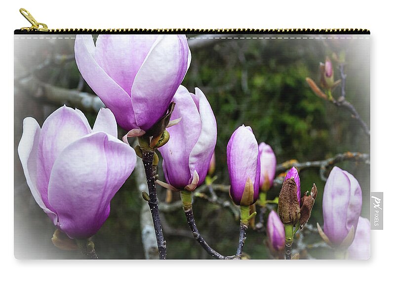 Botanic Gardens Zip Pouch featuring the photograph Magnolia blooms by Fran Woods