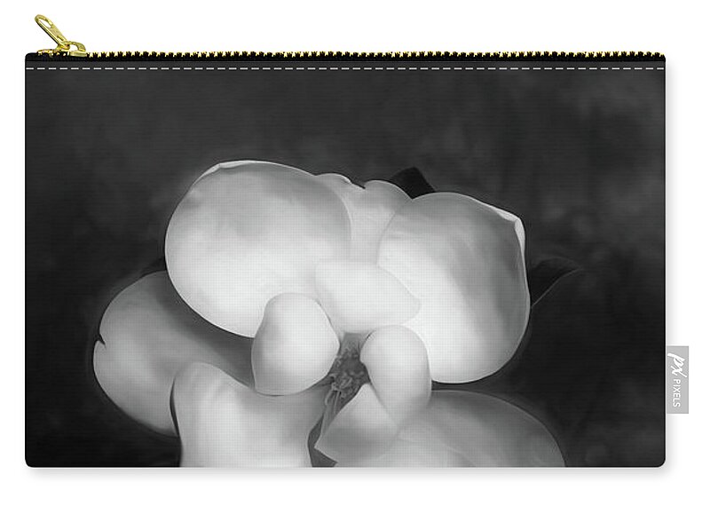 Magnolia Zip Pouch featuring the photograph Magnolia Blossom 3 by Connie Carr