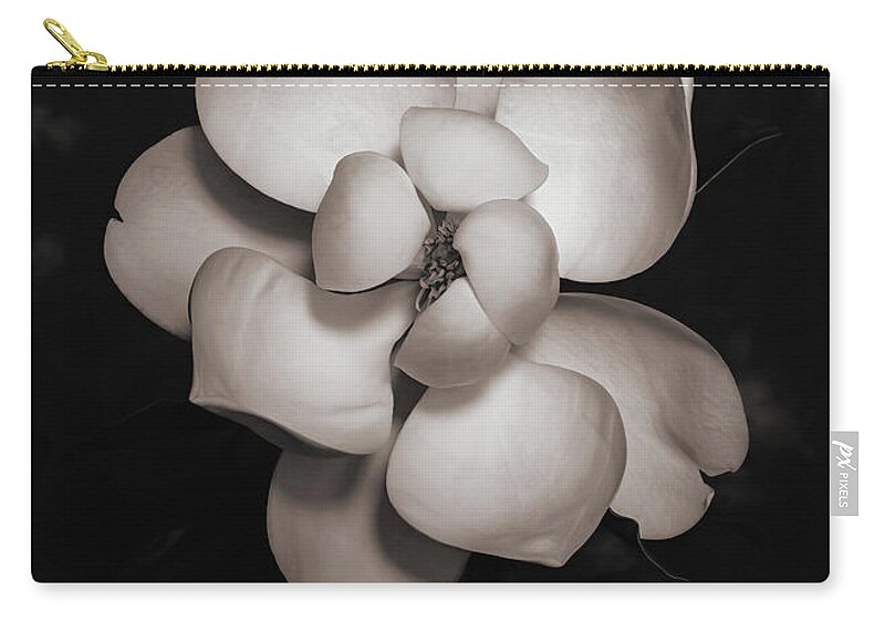 Magnolia Zip Pouch featuring the photograph Magnolia Blossom 4 by Connie Carr