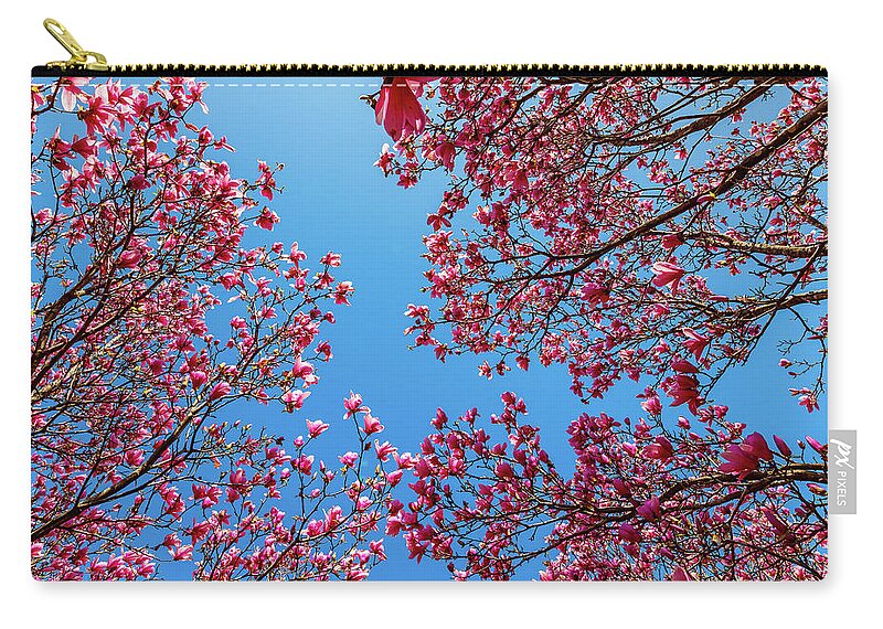 Magnolia Zip Pouch featuring the photograph Magnolia by David Beechum