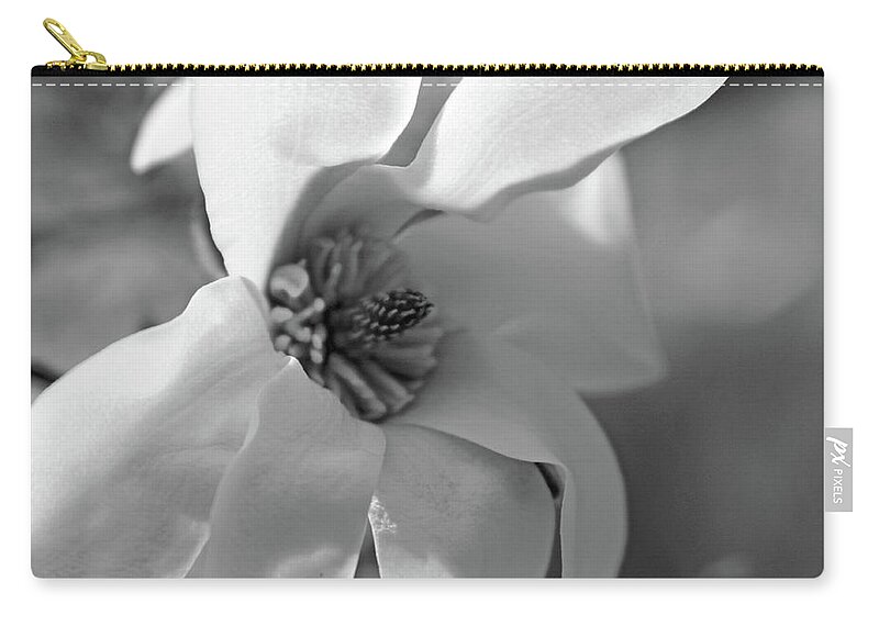 Magnolia Zip Pouch featuring the photograph Magnolia5471 BW by Carolyn Stagger Cokley