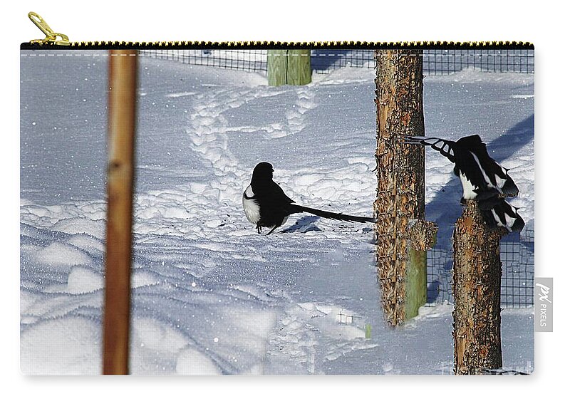 Magpies At Play Zip Pouch featuring the photograph Magpies At Play by Philip And Robbie Bracco