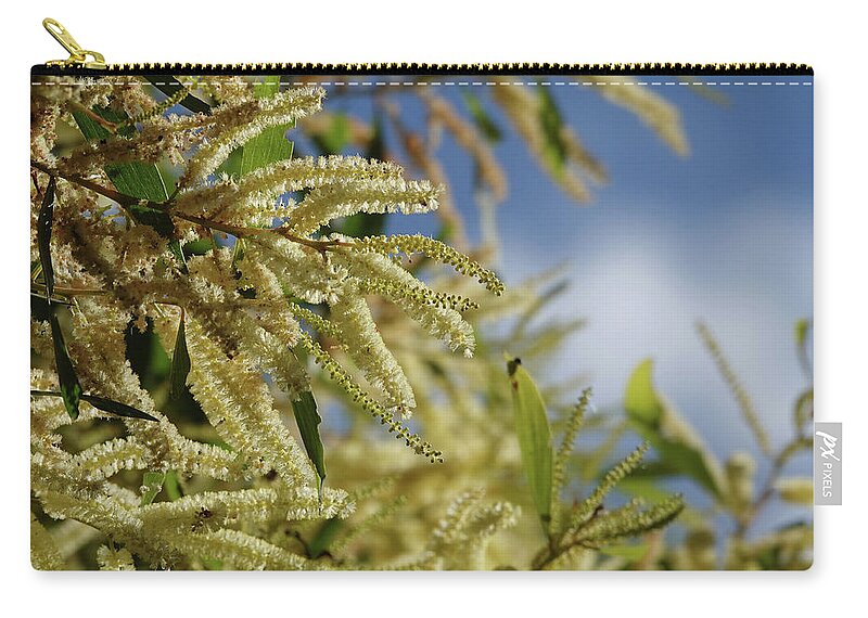 Flowers Zip Pouch featuring the photograph Maiden's Wattle Flowers in the Winter Sun by Maryse Jansen