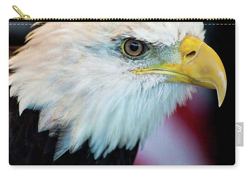 Eagle Portrait Zip Pouch featuring the photograph Majestic Bald Eagle by Wayne Moran