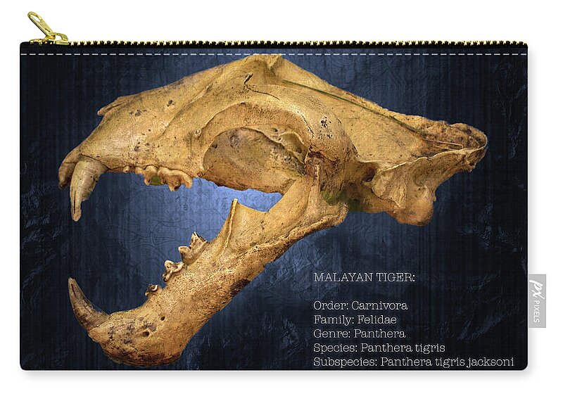 Tiger Zip Pouch featuring the photograph Malayan Tiger Skull Poster With Text by Mark Andrew Thomas