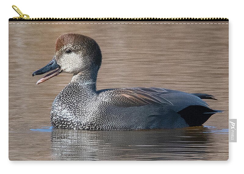 Nature Carry-all Pouch featuring the photograph Male Common Gadwall DWF0226 by Gerry Gantt