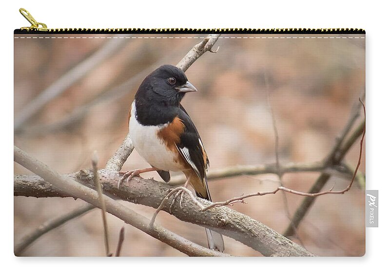Towhee Carry-all Pouch featuring the photograph Male Eastern Towhee by Ron Grafe