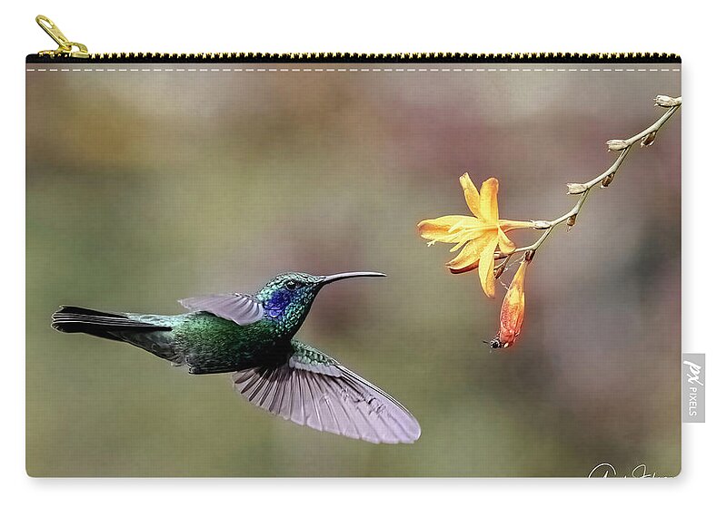 Gary Johnson Zip Pouch featuring the photograph Male Talamanca Hummingbird by Gary Johnson