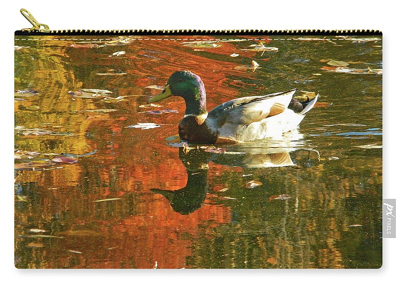 Autumn Zip Pouch featuring the photograph Mallard Duck In the Fall by Emmy Marie Vickers