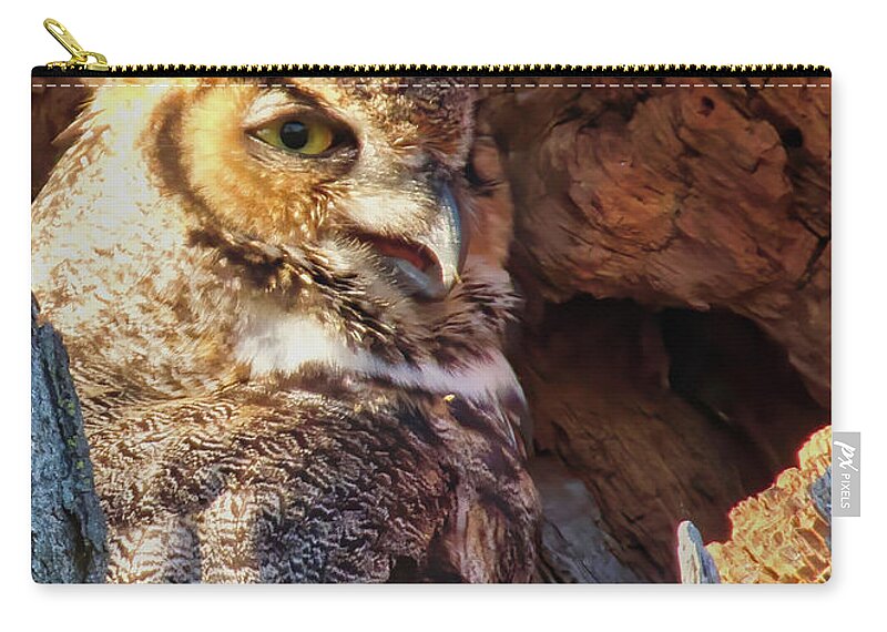  Zip Pouch featuring the photograph Mama Owl by Jack Wilson