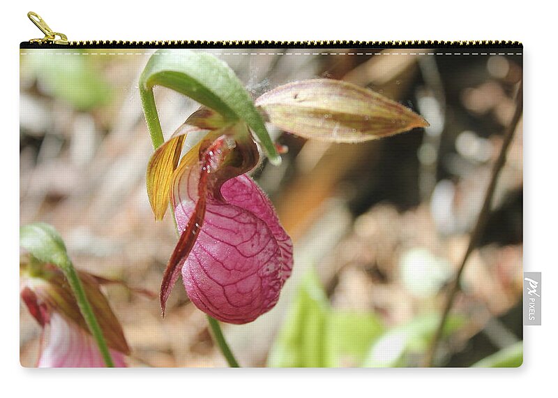 Lady Slipper Zip Pouch featuring the photograph Manitoba Orchid by Ruth Kamenev