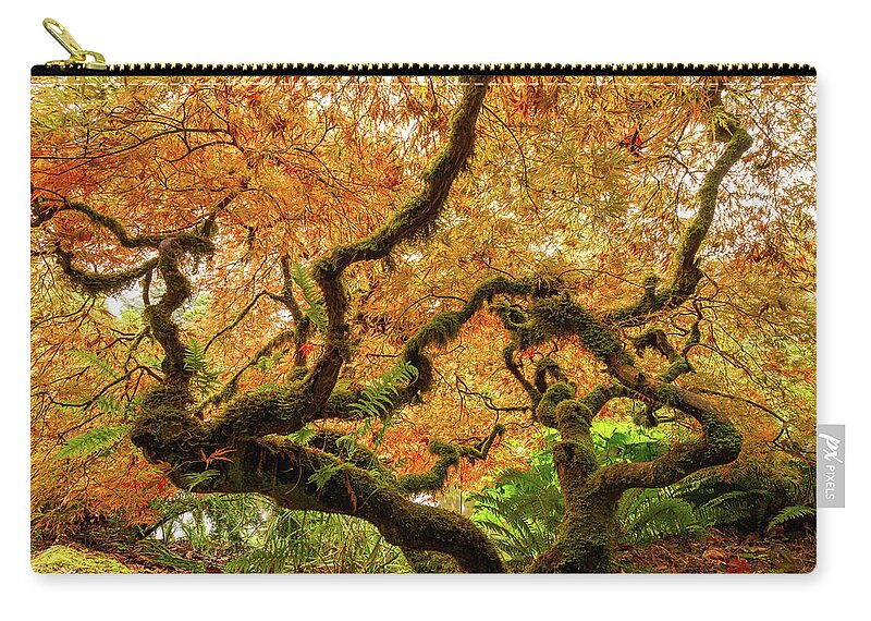 Outdoor; Fall; Colors; Maple Tree; Garden; City Garden; Kubota Garden; Seattle Zip Pouch featuring the digital art A Japanese Maple at Seattle Kubota Garden by Michael Lee