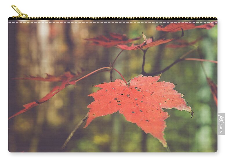 Maple Zip Pouch featuring the photograph Maple I'll have another by Stacy Abbott