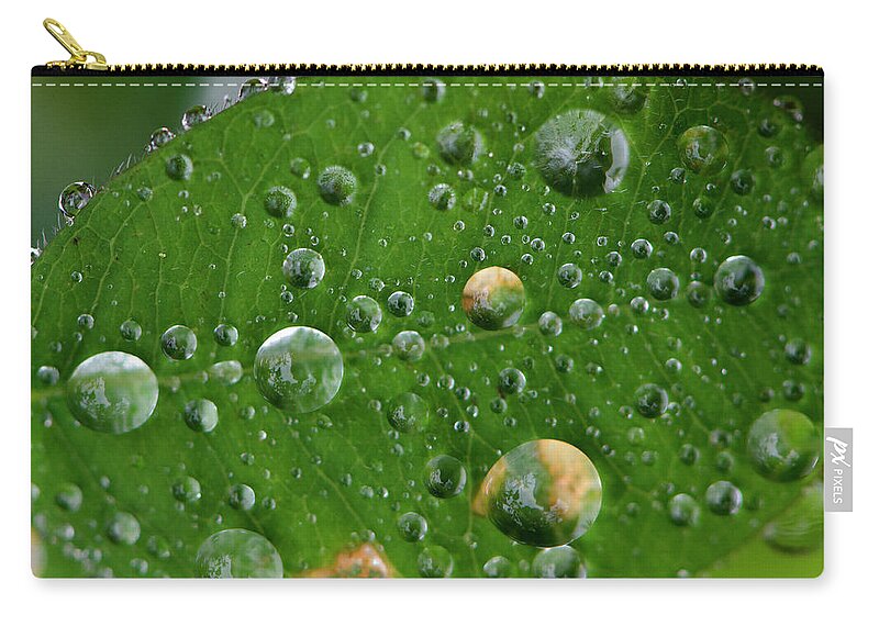 Macro Zip Pouch featuring the photograph Marco Landscape, Rain on a Leaf, Photography in the North Carolina Uwharrie National Forest, Print by Eric Abernethy